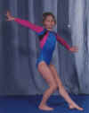 krysgym.jpg (17059 bytes)