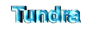 tundra_3d_name.gif (46954 bytes)